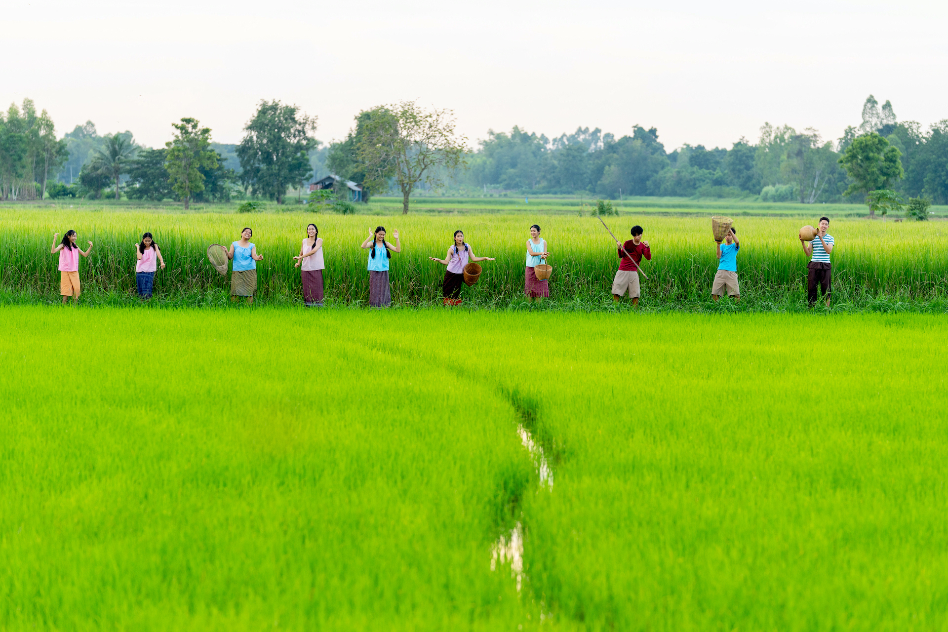 Group of Asian young girls and boys enjoy of dance on way in rice field with happiness in evening.