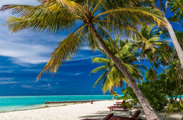 Tropical Beach in Maldives