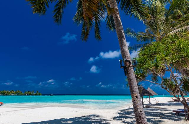 Tropical Beach in Maldives