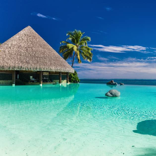 Infinity pool with palm tree rocks, Tahiti island, French Polynesia